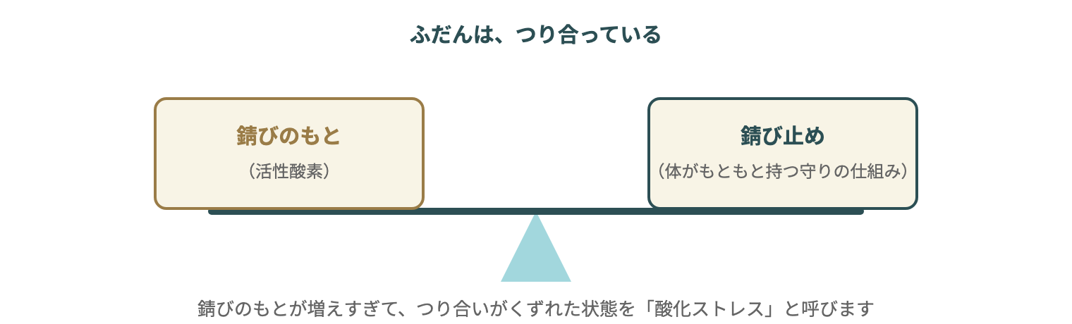 体の中の「錆びのもと」と「錆び止め」のつり合い(考え方を簡単に表した図)